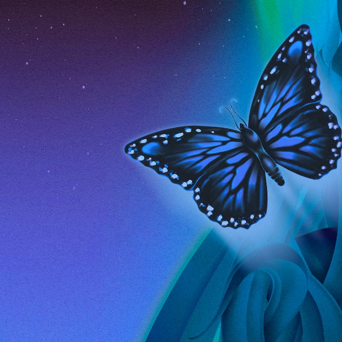 VIP Feeërieën: Monstera Occulta (dj) + De Mannen Broeders + ØXN