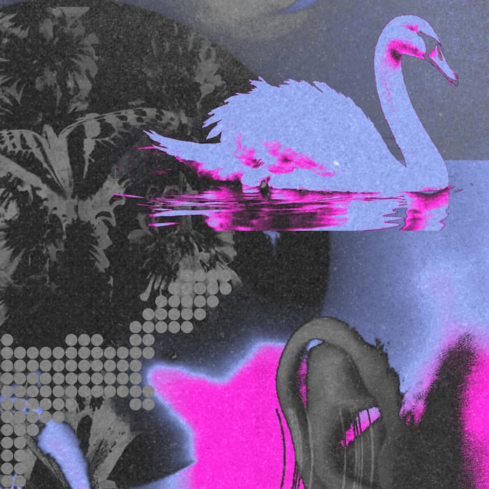 braindance_2025