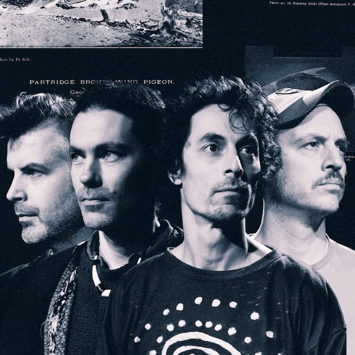 Echoes of Zoo presents Collective Intelligence