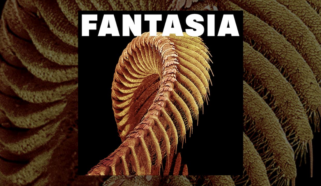 Album of the week: 'Fantasia' - SLIFT