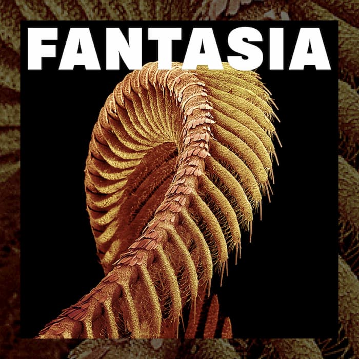 Album of the week: 'Fantasia' - SLIFT