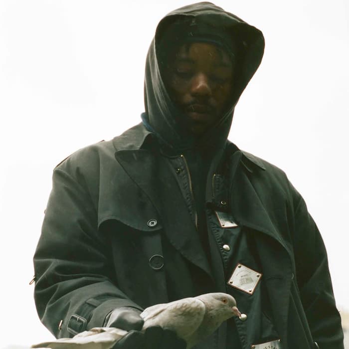 Montell Fish