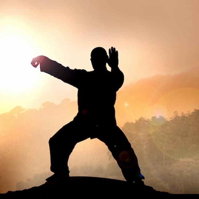 Qi Gong w/ Alessio Porcelli
