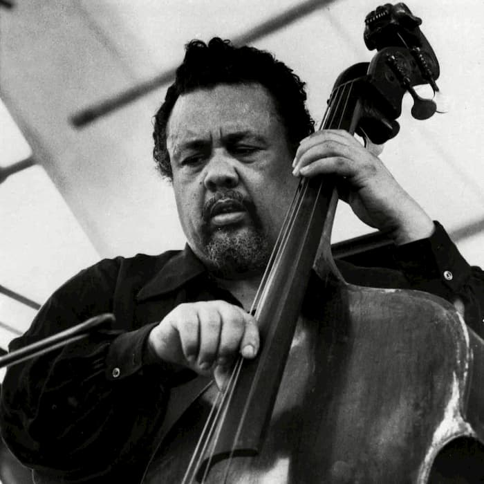A beginner's guide to Charles Mingus door Guy Peters